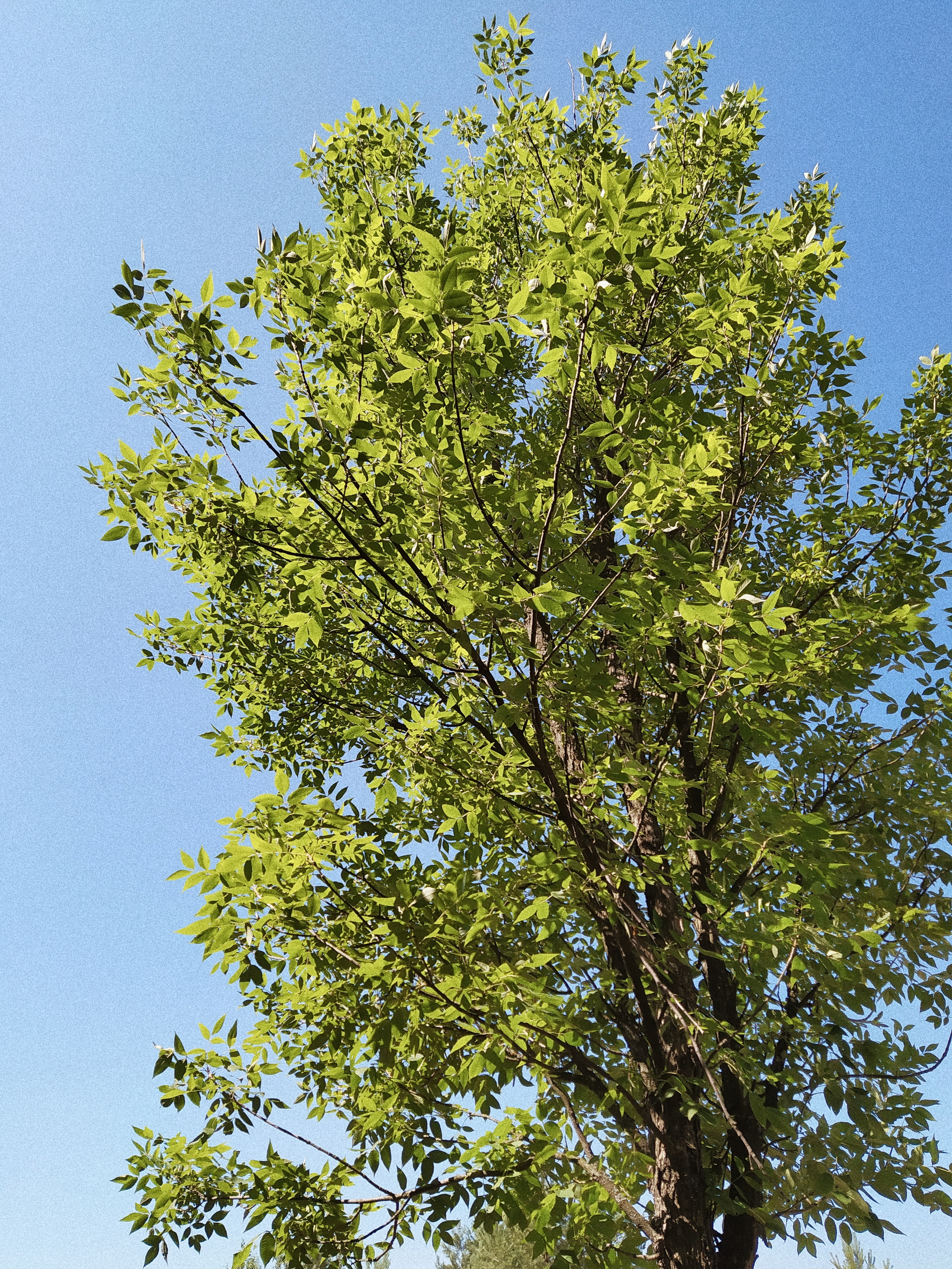 Processed with VSCO with a4 preset