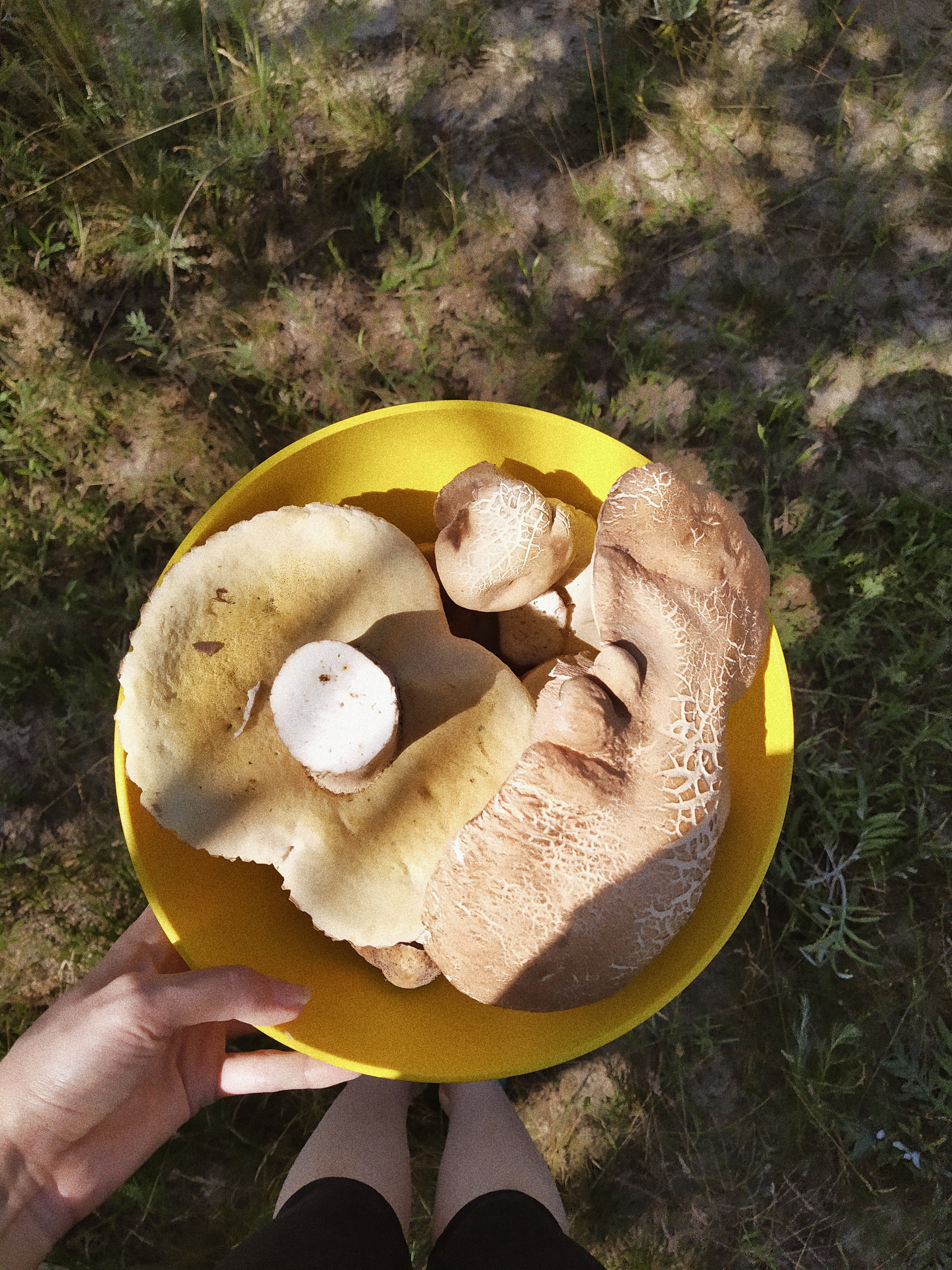 Processed with VSCO with a4 preset