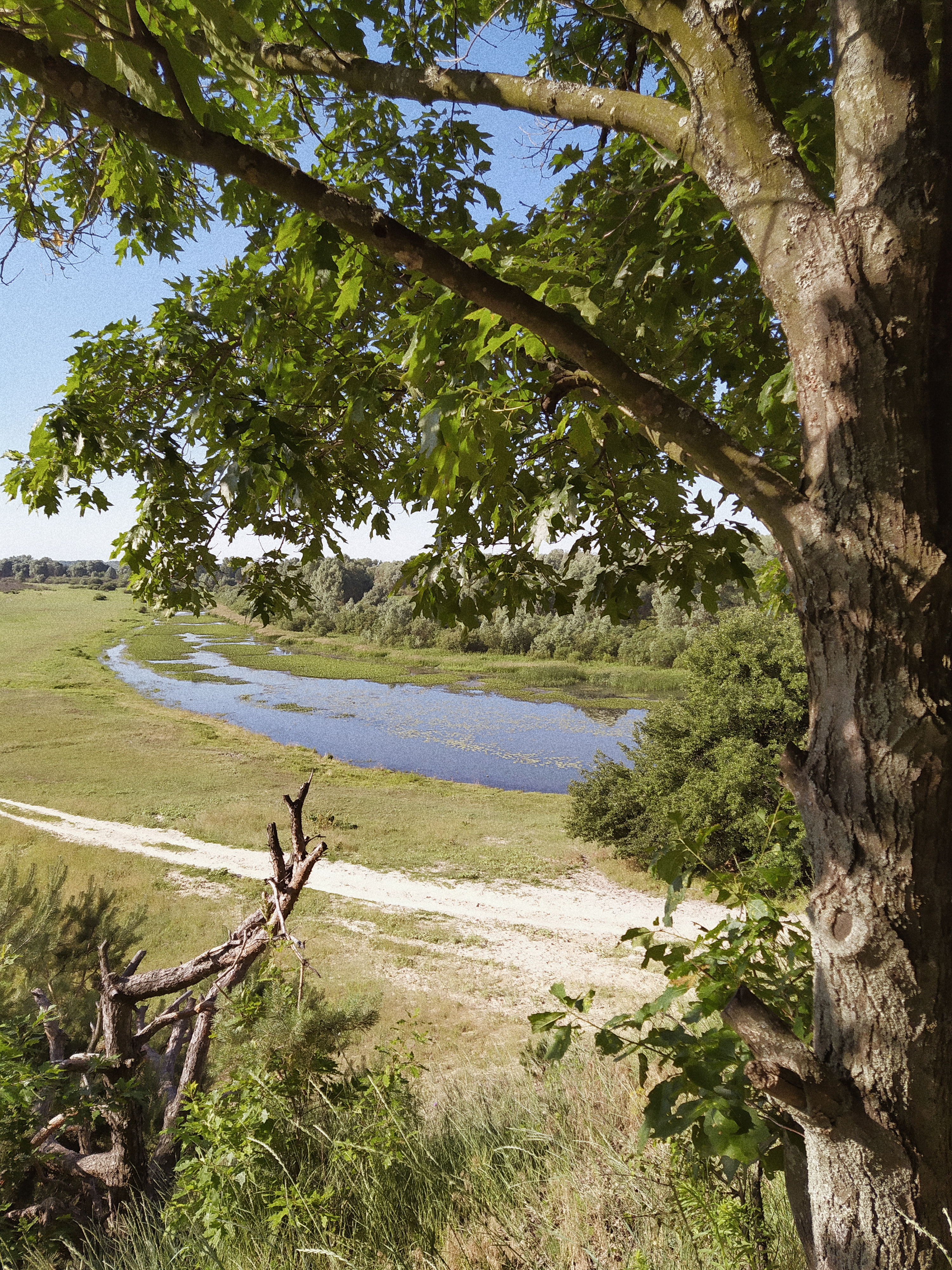 Processed with VSCO with a4 preset