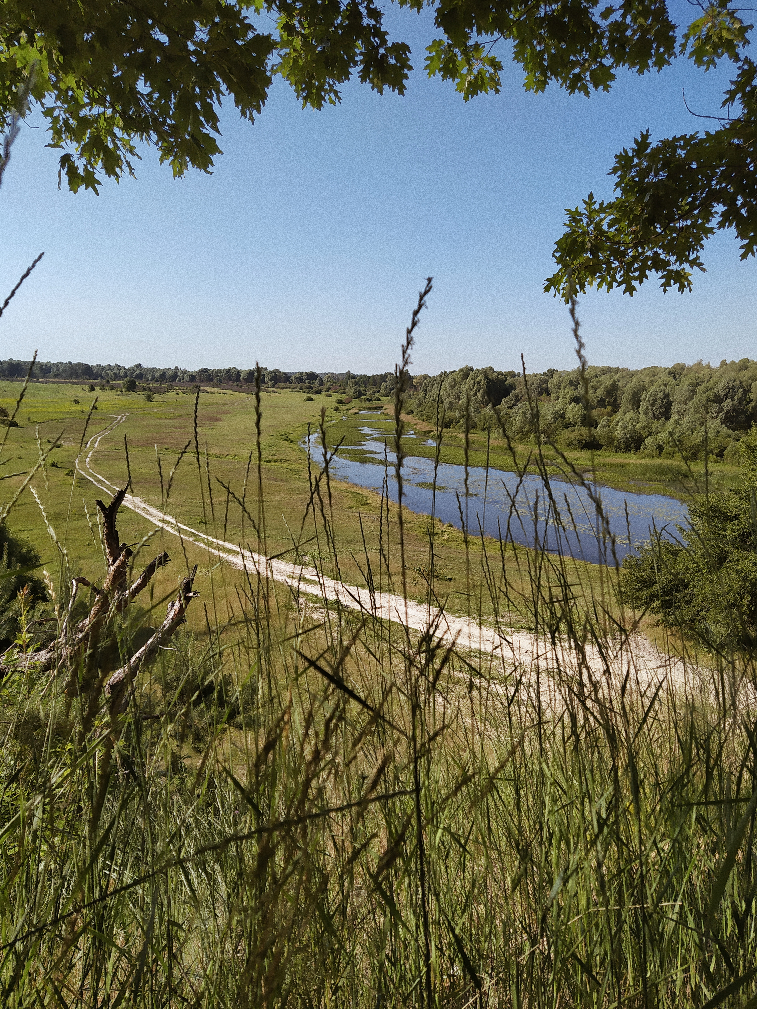 Processed with VSCO with a4 preset