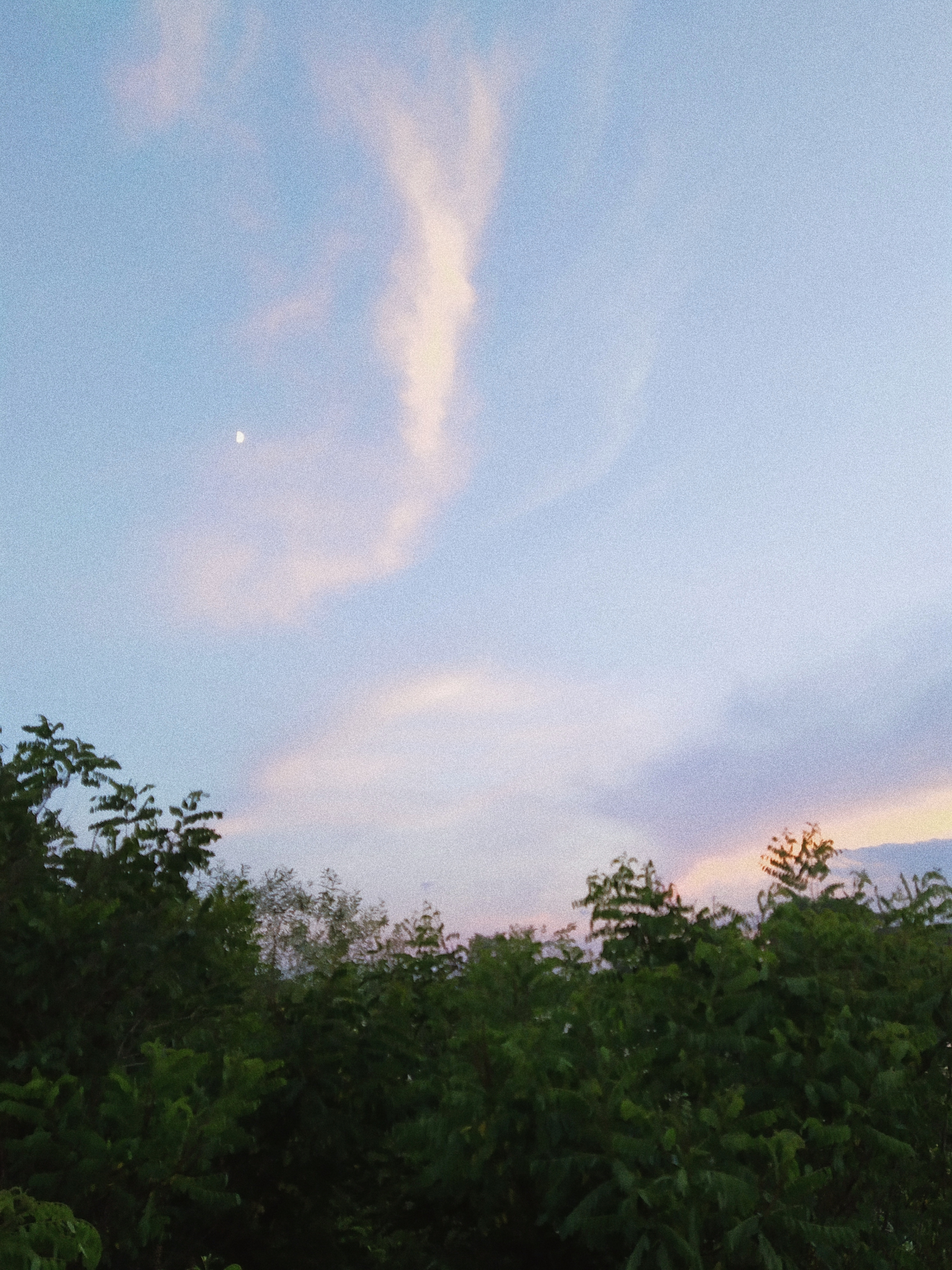 Processed with VSCO with a4 preset